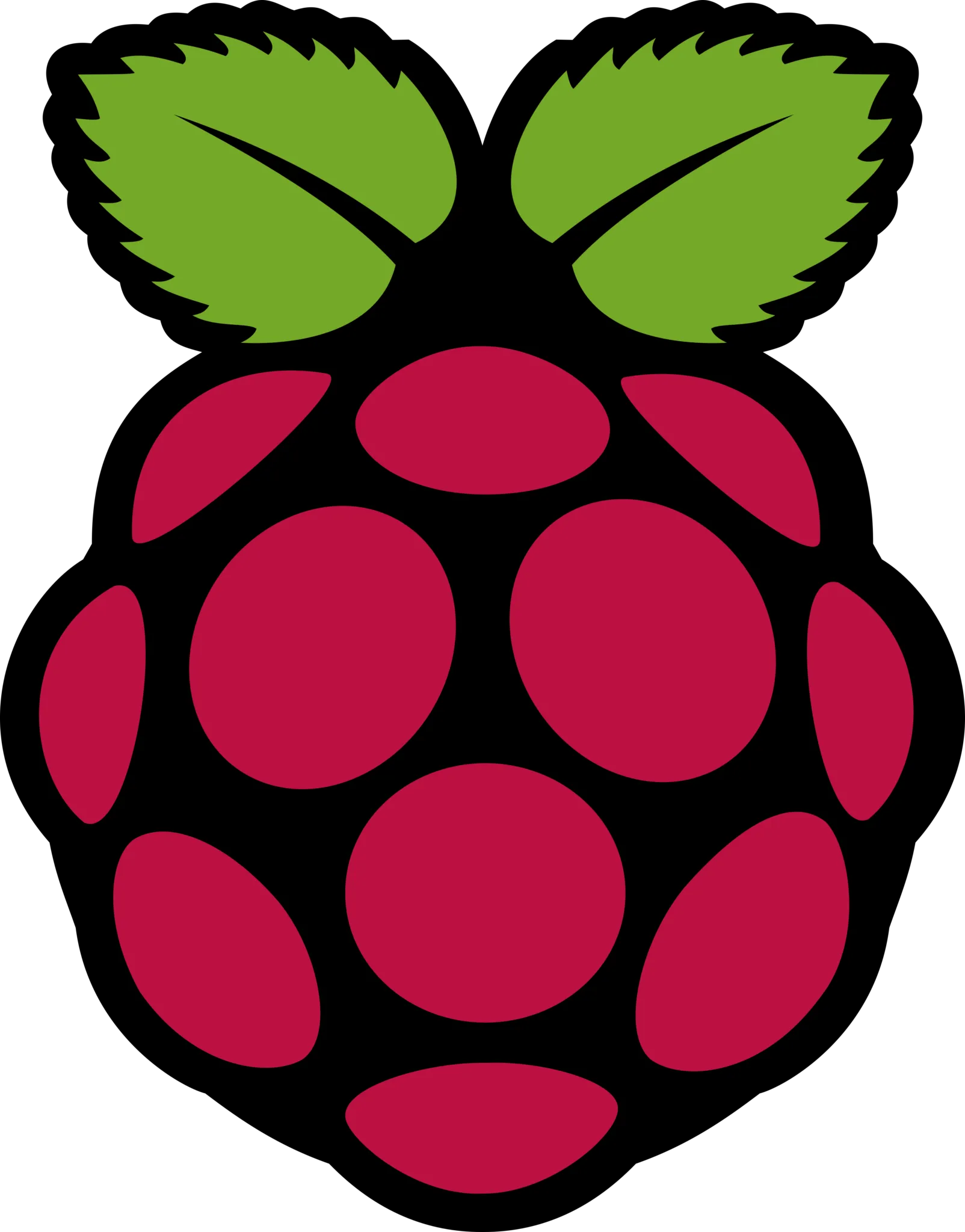 Raspberry